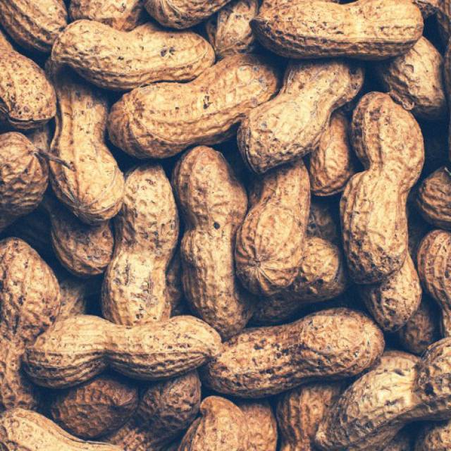 Sustainable Peanuts